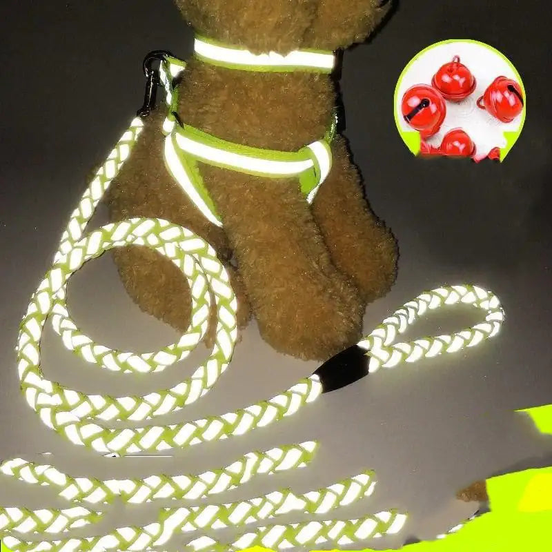 Dog Leash for Pets